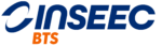 LP Inseec BTS